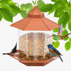 Hanging Bird Feeder