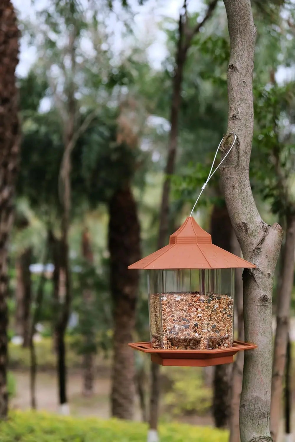 Hanging Bird Feeder