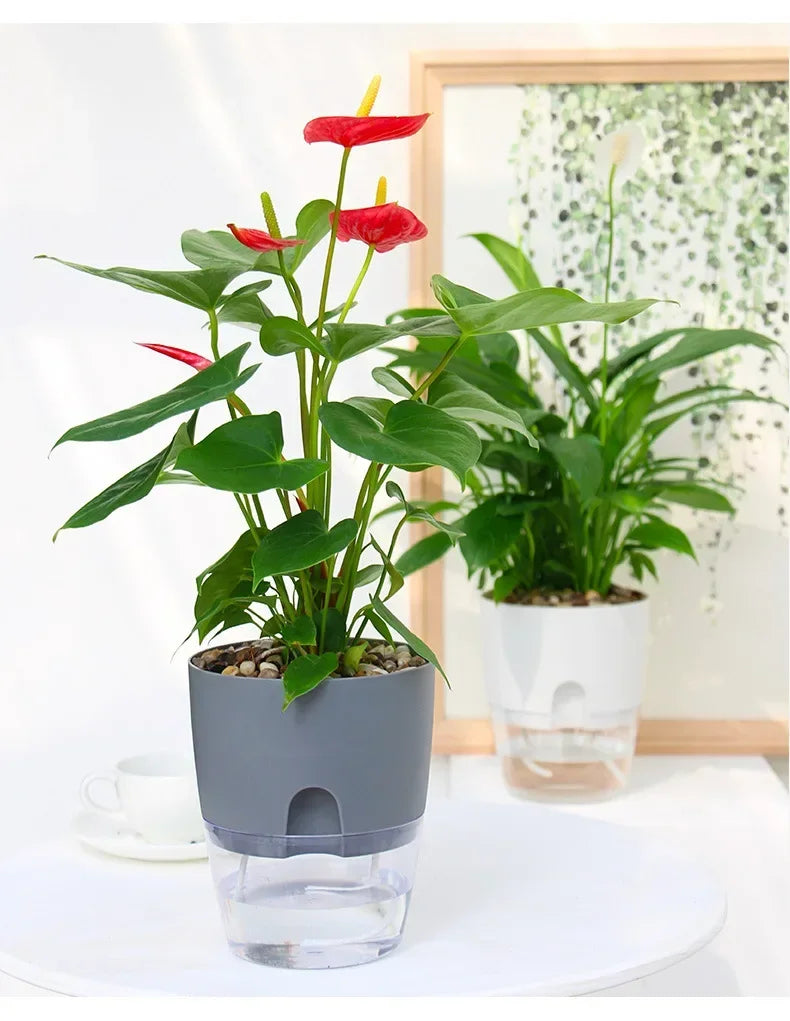 Self-Watering Plant Pot – Indoor Planter with Water Reservoir, Self Watering Pot for Herbs & Houseplants