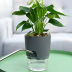 Self-watering plant pot with clear reservoir – close-up