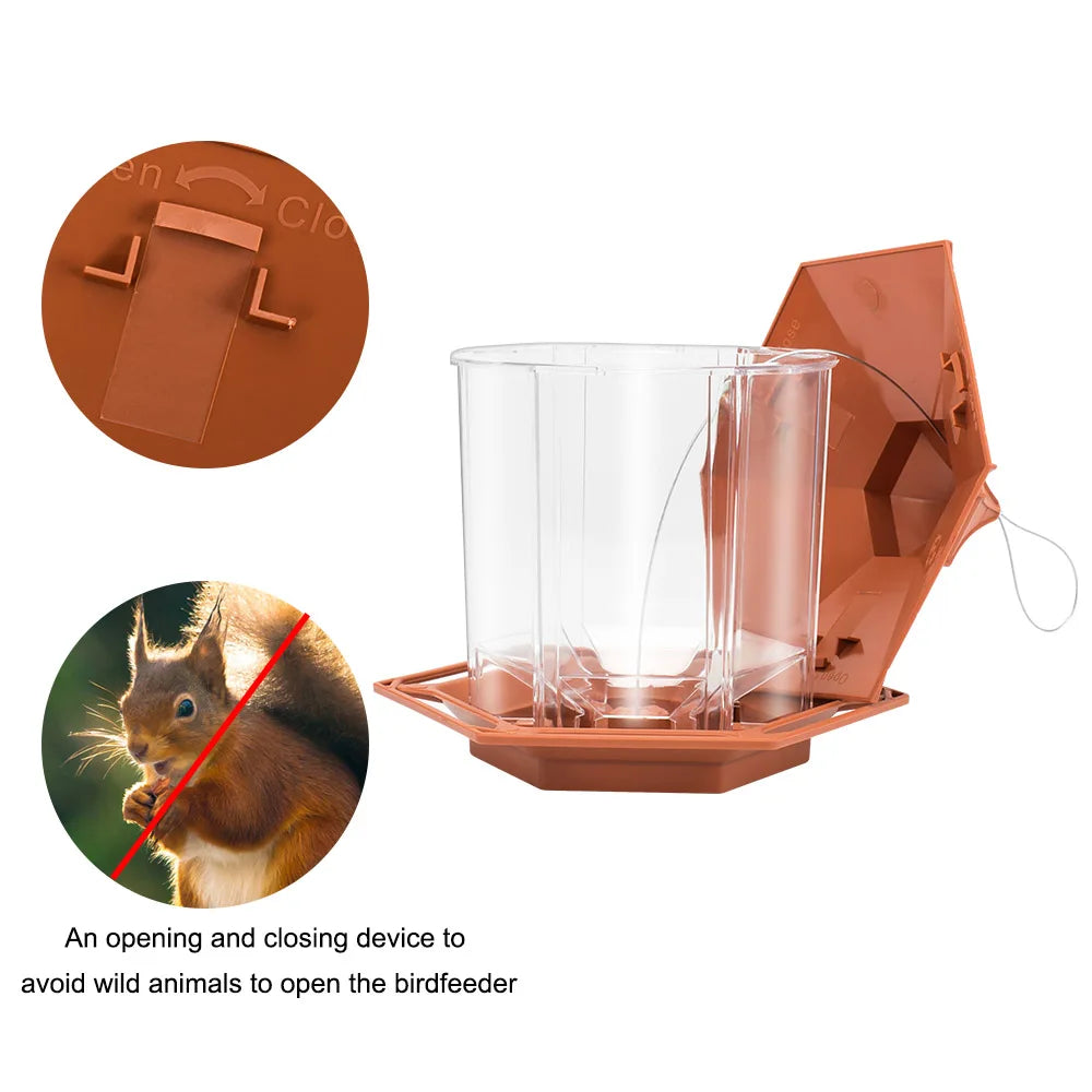Hanging Bird Feeder