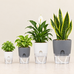 Self-watering plant pots in all four sizes, white and grey